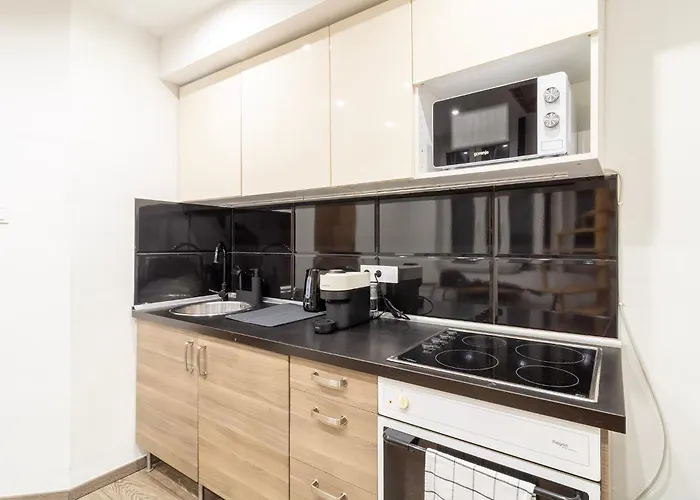 Tb Downtown Apartment